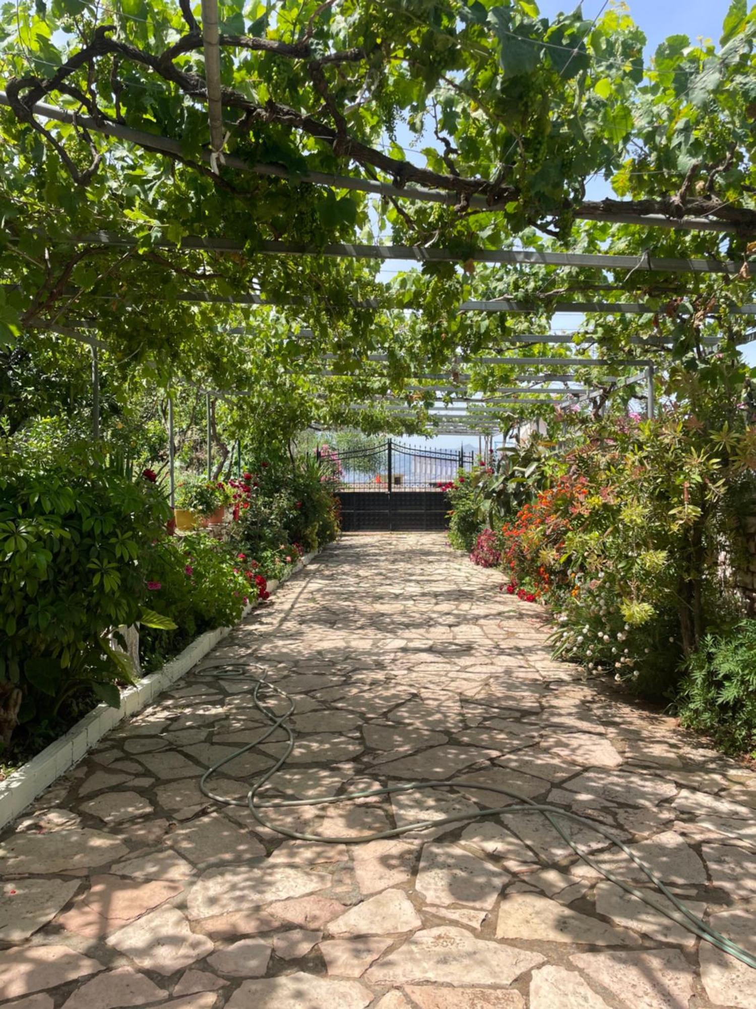 Shtepi Manuel Appartement Saranda
